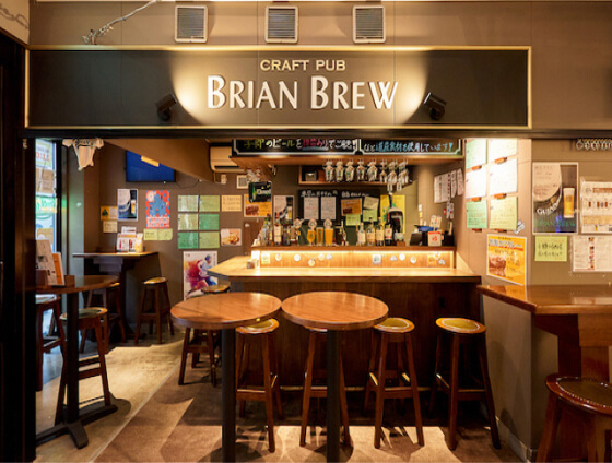 CRAFT PUB BRIAN BREW